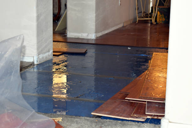 Professional Water Damage Repair technician working in Samaria, MI